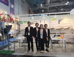 Ekspozita e ekspozitës