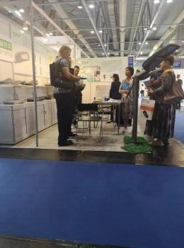 Ekspozita e ekspozitës